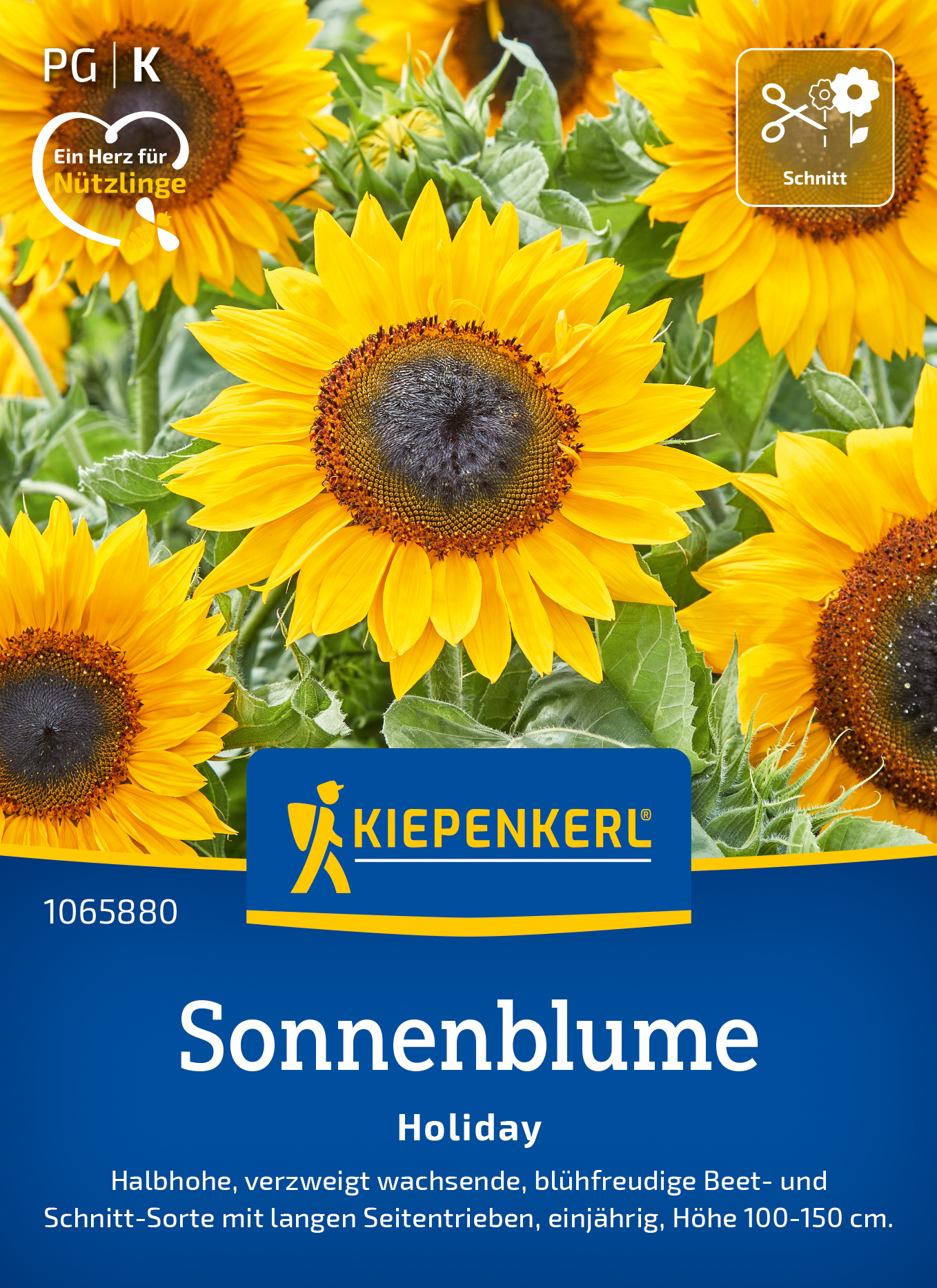 Sonnenblume Holiday Sonnenblume Holiday