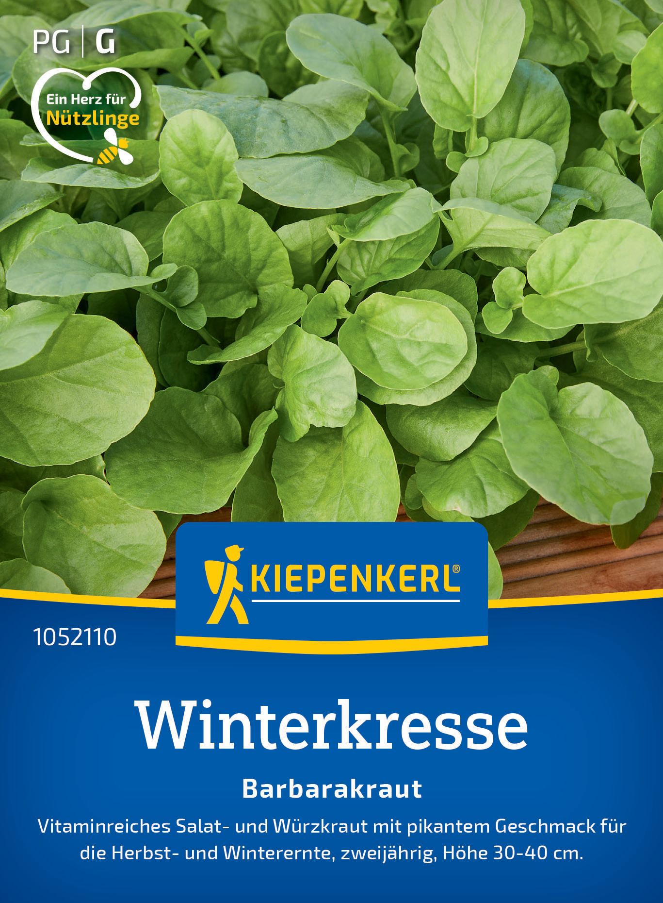 Winterkresse Barbarakraut Winterkresse Barbarakraut