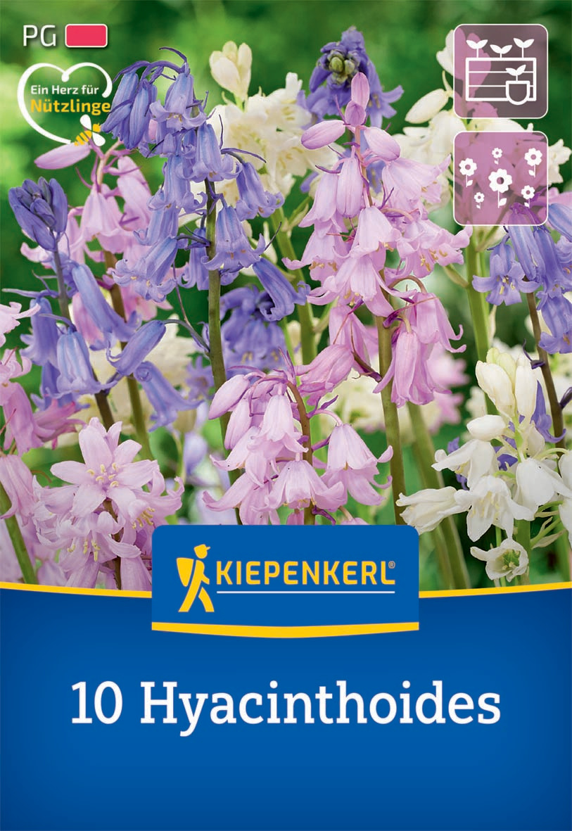 Hasenglöckchen Mischung