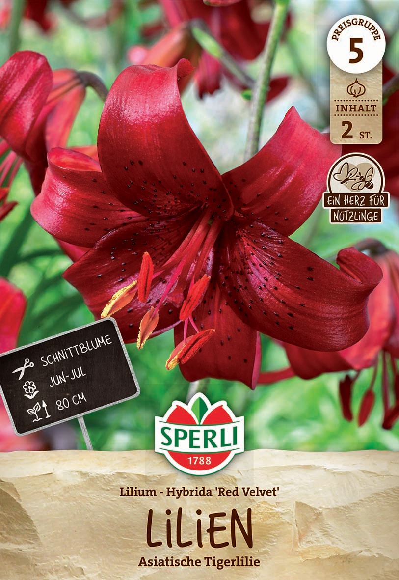 Lilie Red Velvet