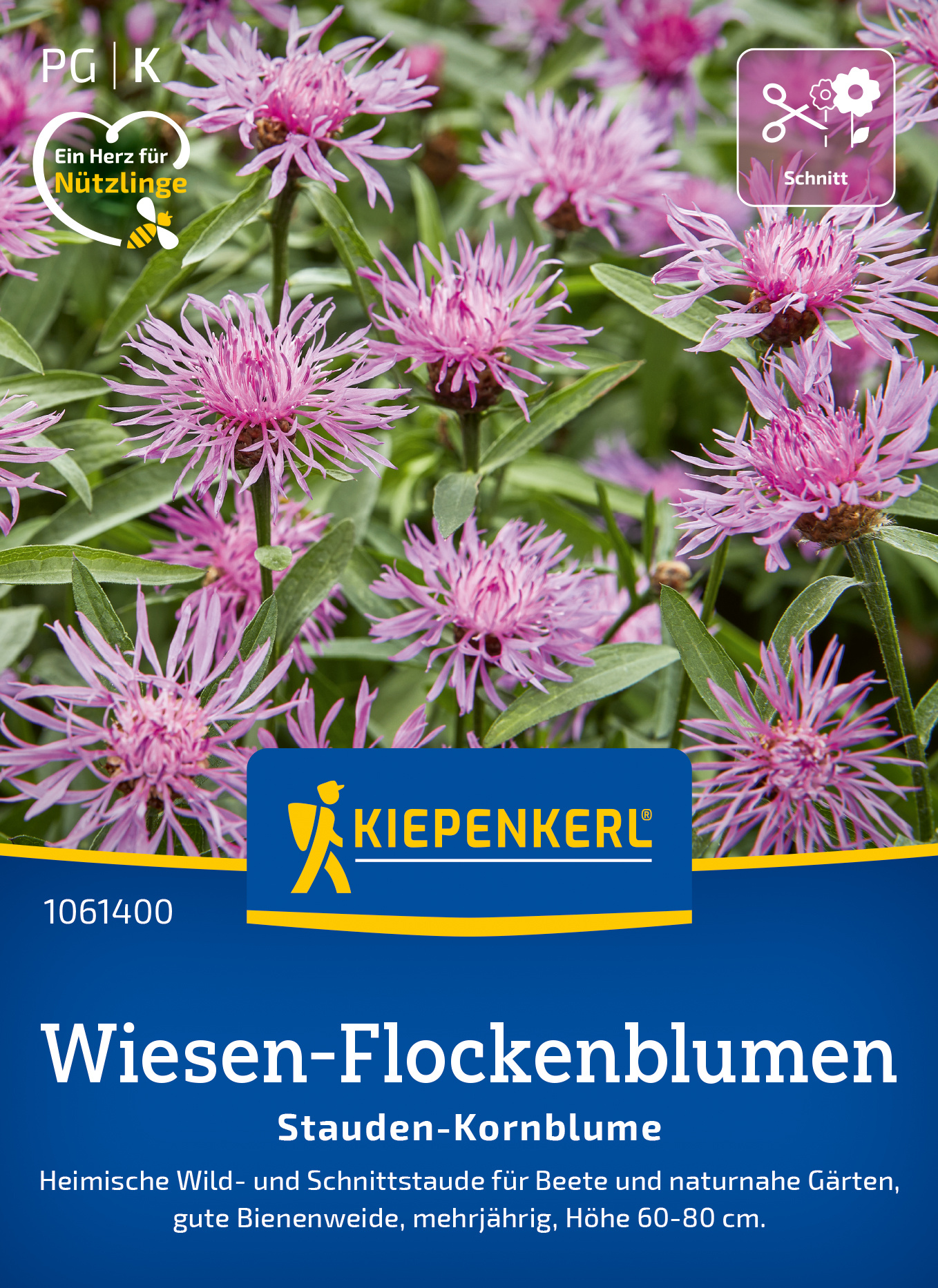 Wiesen-Flockenblumen