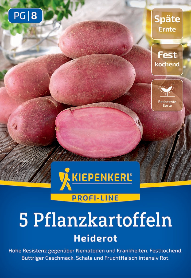 Pflanzkartoffel Heiderot, 5 St Pflanzkartoffel Heiderot, 5 St