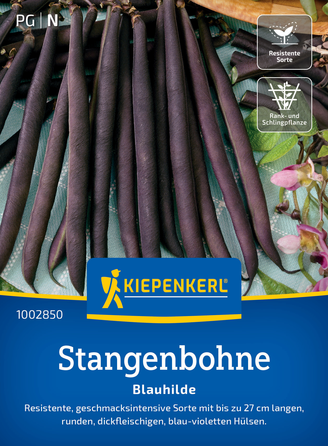 Stangenbohne Blauhilde
