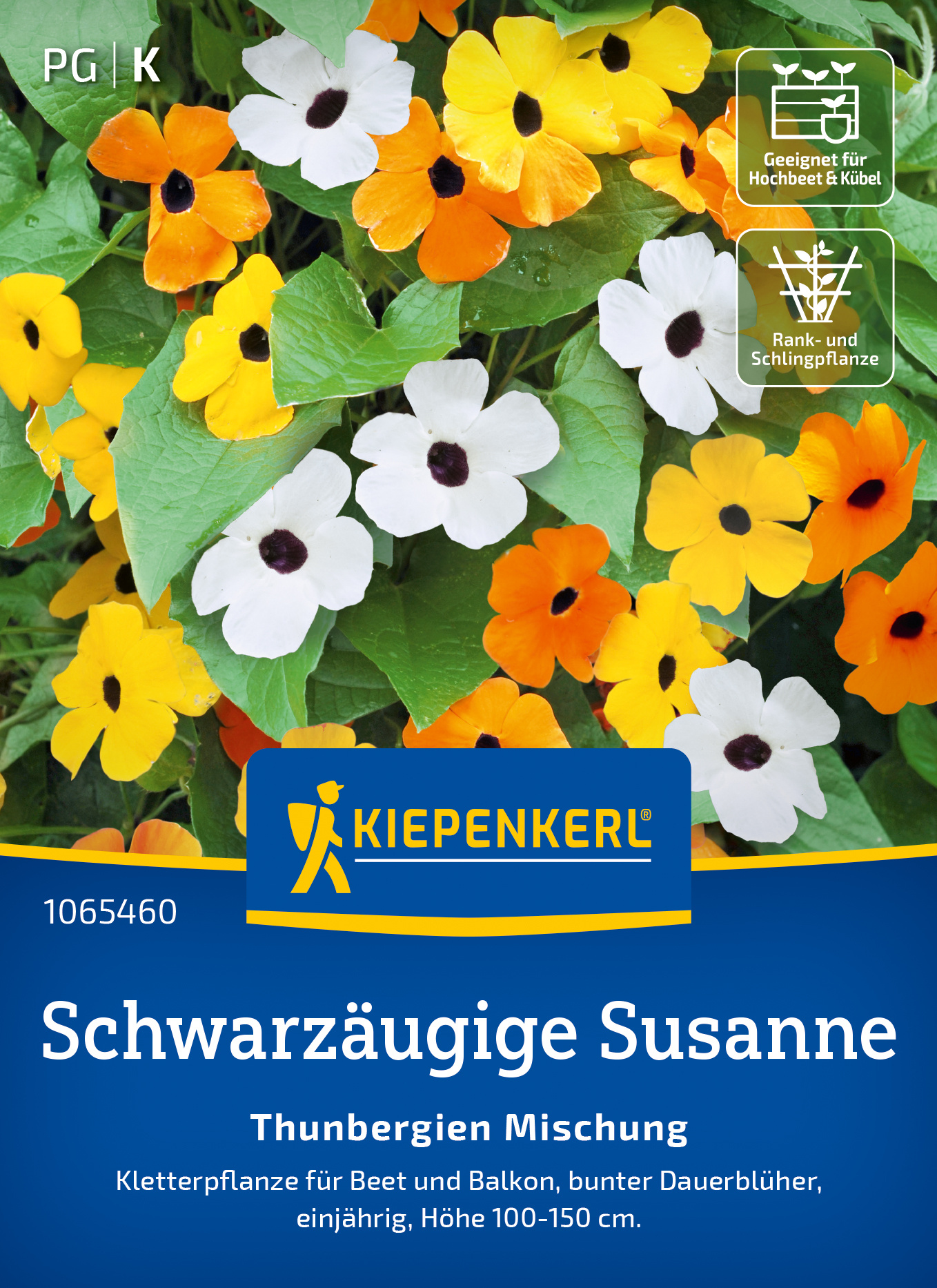 Schwarzäugige Susanne Thunbergien Mischung