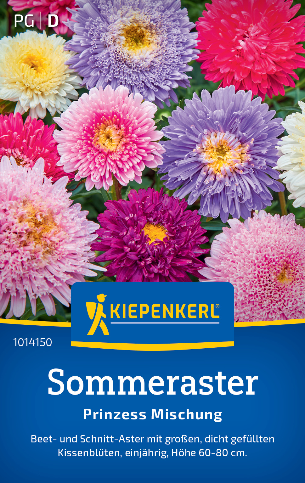 Sommeraster Prinzess Mischung Sommeraster Prinzess Mischung