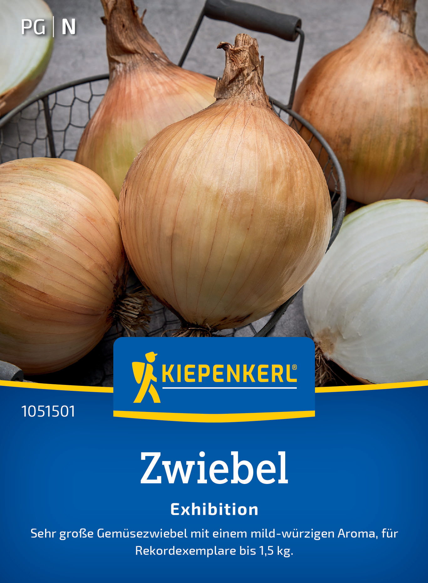 Zwiebel Exhibition