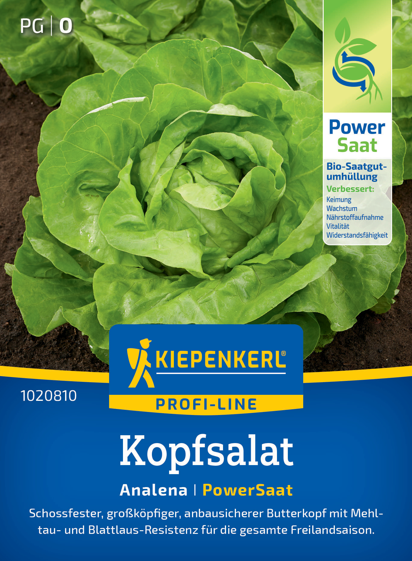 Kopfsalat Analena, PowerSaat Kopfsalat Analena, PowerSaat