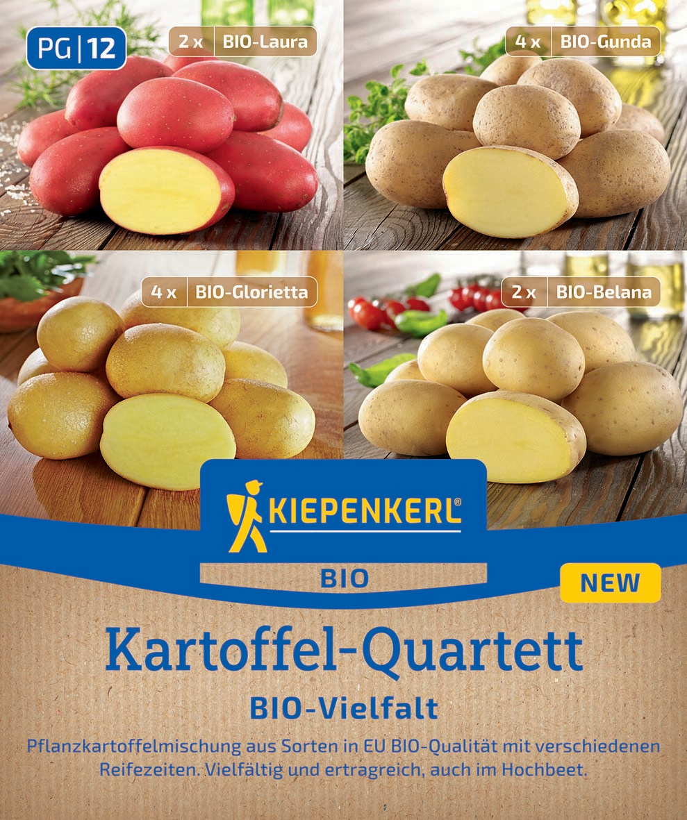 Pflanzkartoffel Quartett Mischungstüte Bio-Vielfalt, 12 St Pflanzkartoffel Quartett Mischungstüte Bio-Vielfalt, 12 St