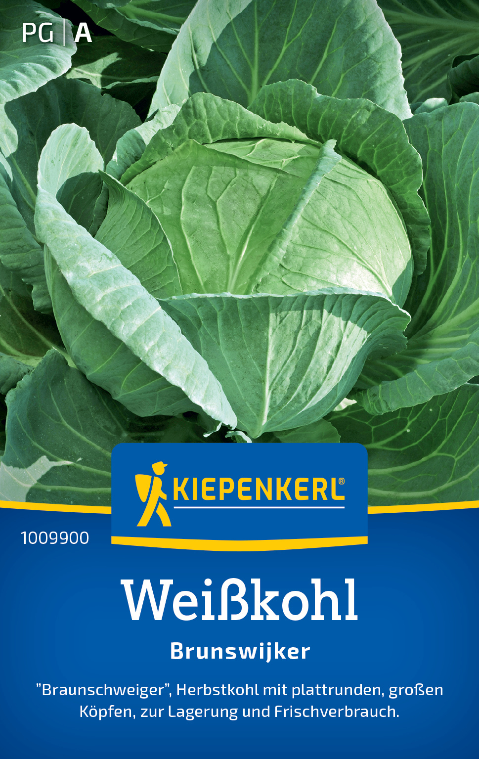 Weißkohl Brunswijker