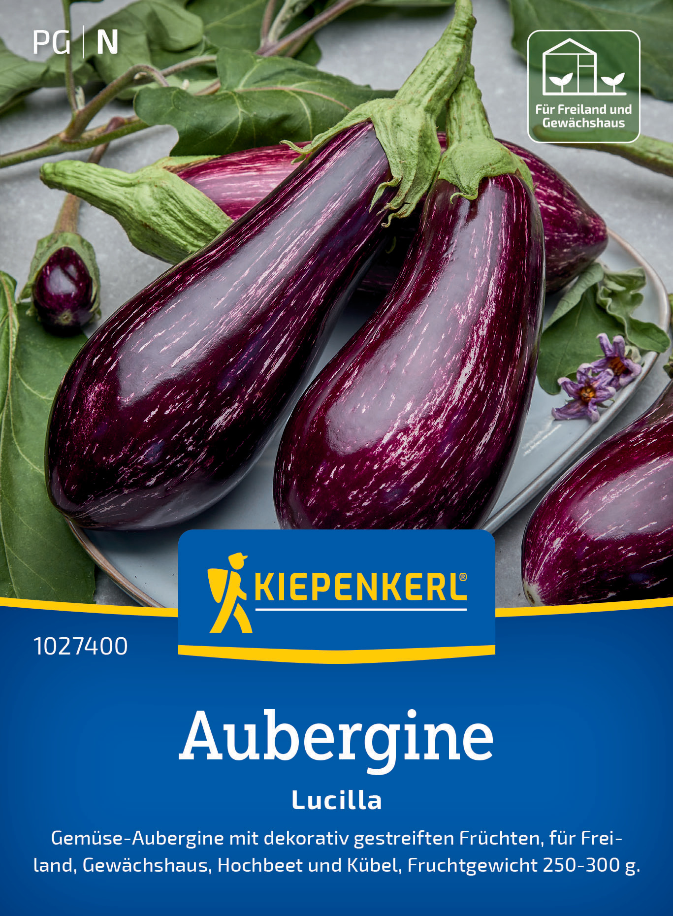Aubergine Lucilla, F1