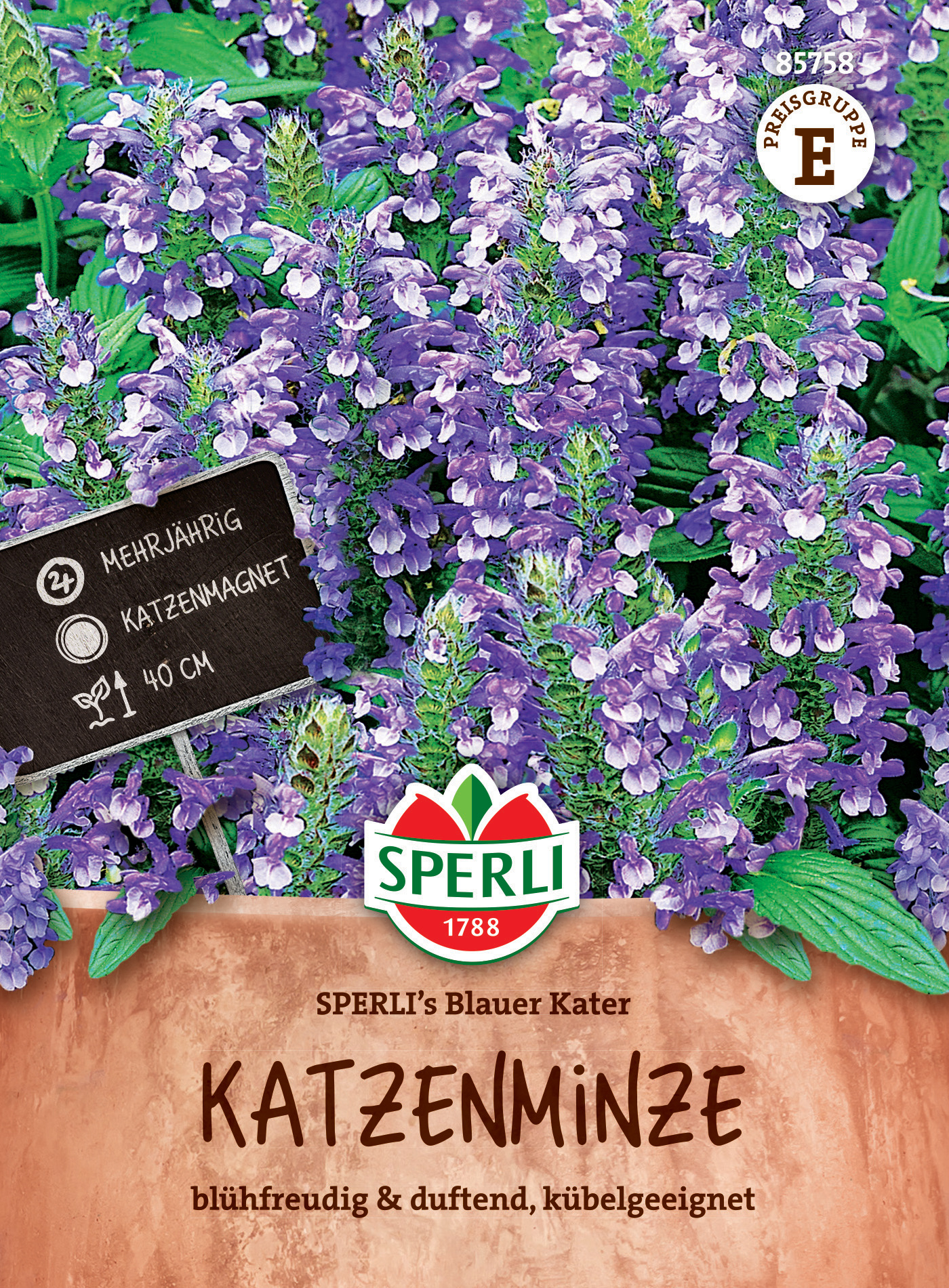 Katzenminze SPERLI's Blauer Kater Katzenminze SPERLI's Blauer Kater