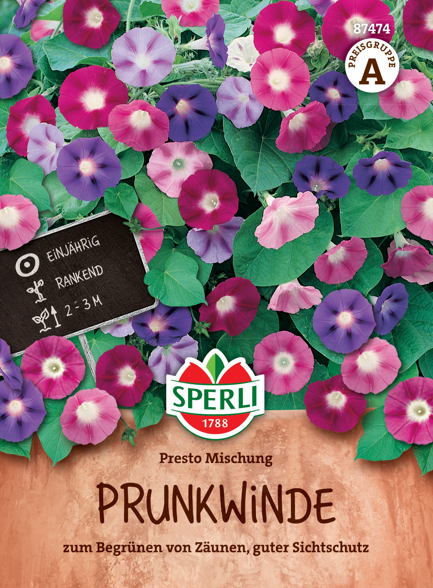 Prunkwinde Presto Mischung Prunkwinde Presto Mischung