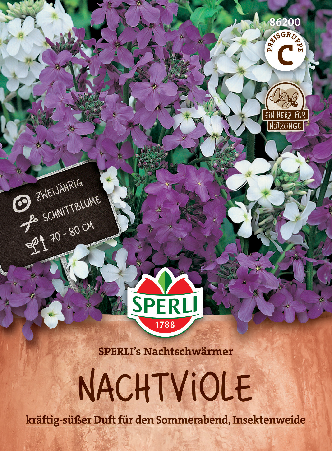 Nachtviole SPERLI's Nachtschwärmer Nachtviole SPERLI's Nachtschwärmer