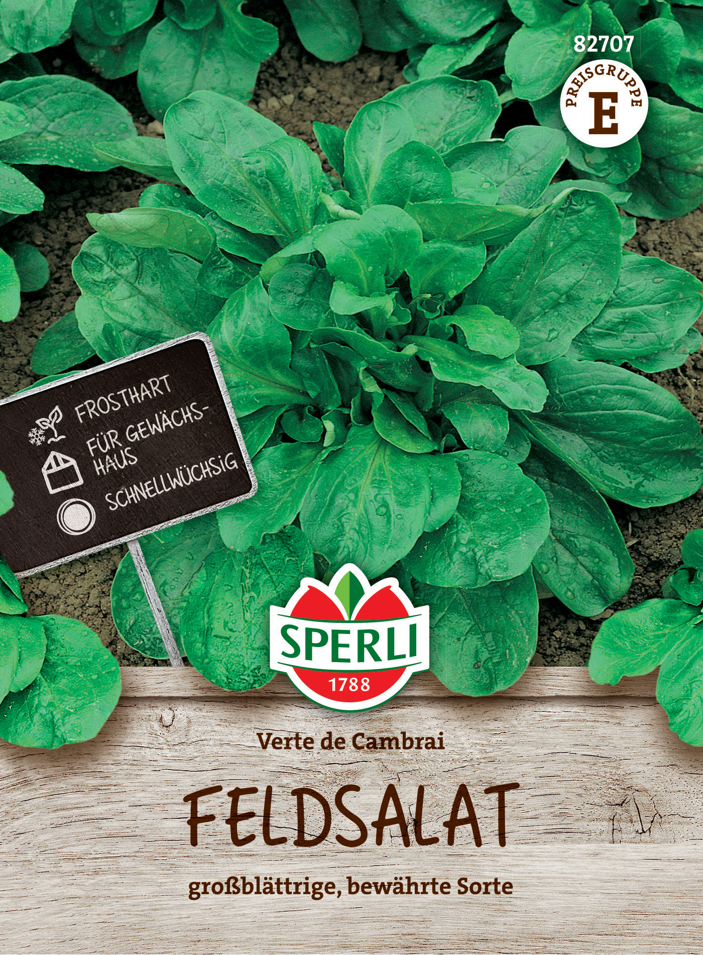 Feldsalat Verte de Cambrai Feldsalat Verte de Cambrai