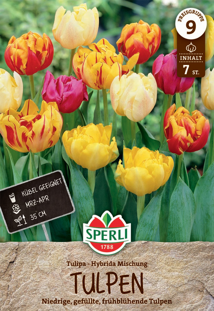 Gefüllte Frühe Tulpen Mischung