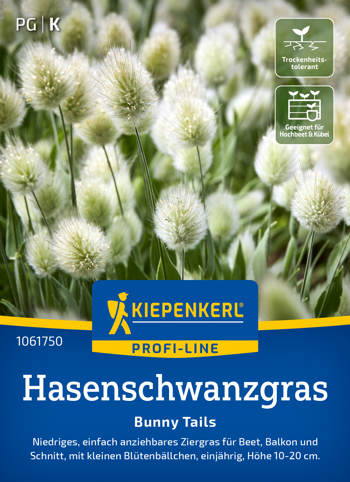 Hasenschwanzgras Bunny Tails Hasenschwanzgras Bunny Tails