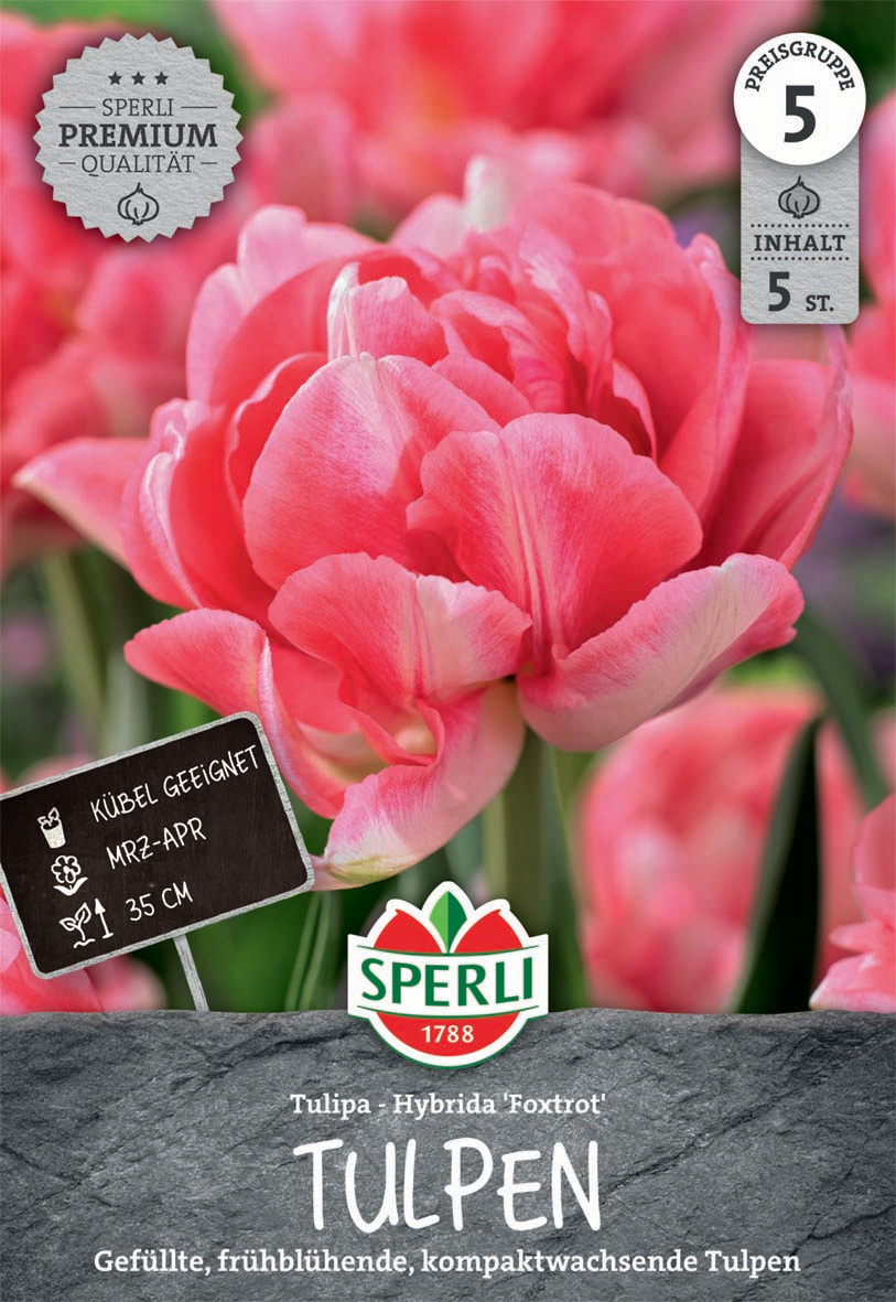 Premium Gefüllte Frühe Tulpe Foxtrot
