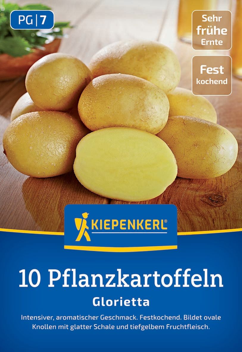 Pflanzkartoffel Glorietta, 10 St Pflanzkartoffel Glorietta, 10 St