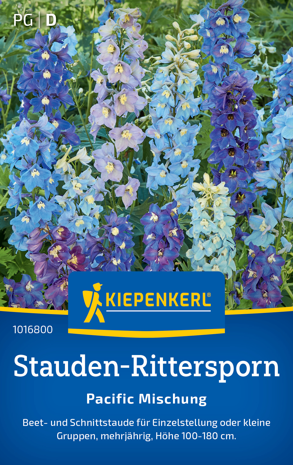 Stauden-Rittersporn Pacific Mischung