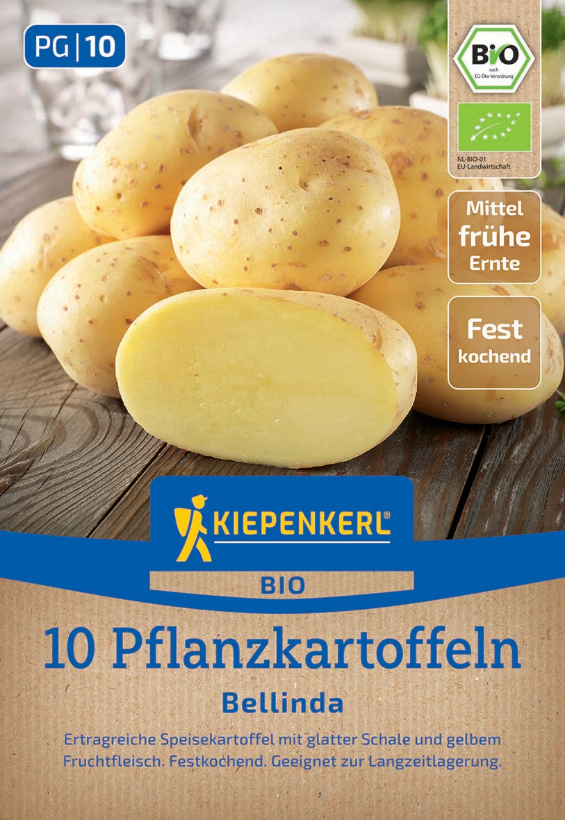 BIO Pflanzkartoffel Bellinda, 10 St BIO Pflanzkartoffel Bellinda, 10 St
