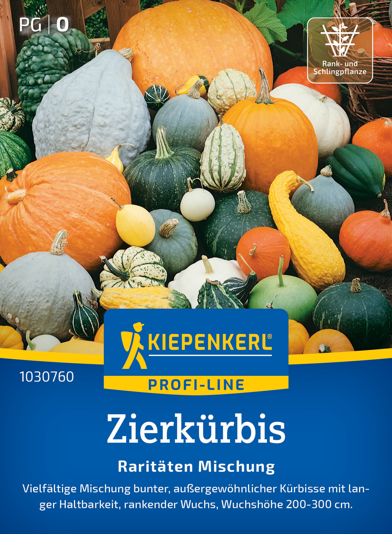 Zierkürbis Raritäten Mischung