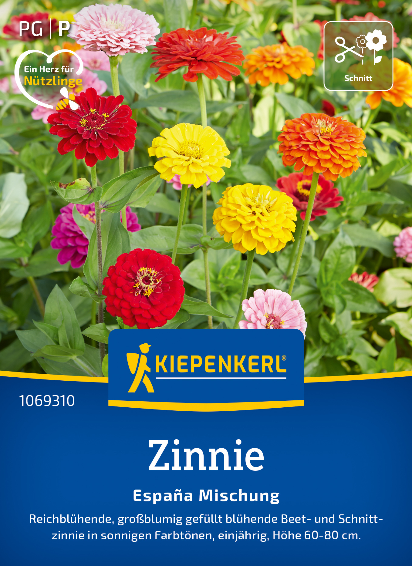 Zinnie Espana Mischung Zinnie Espana Mischung