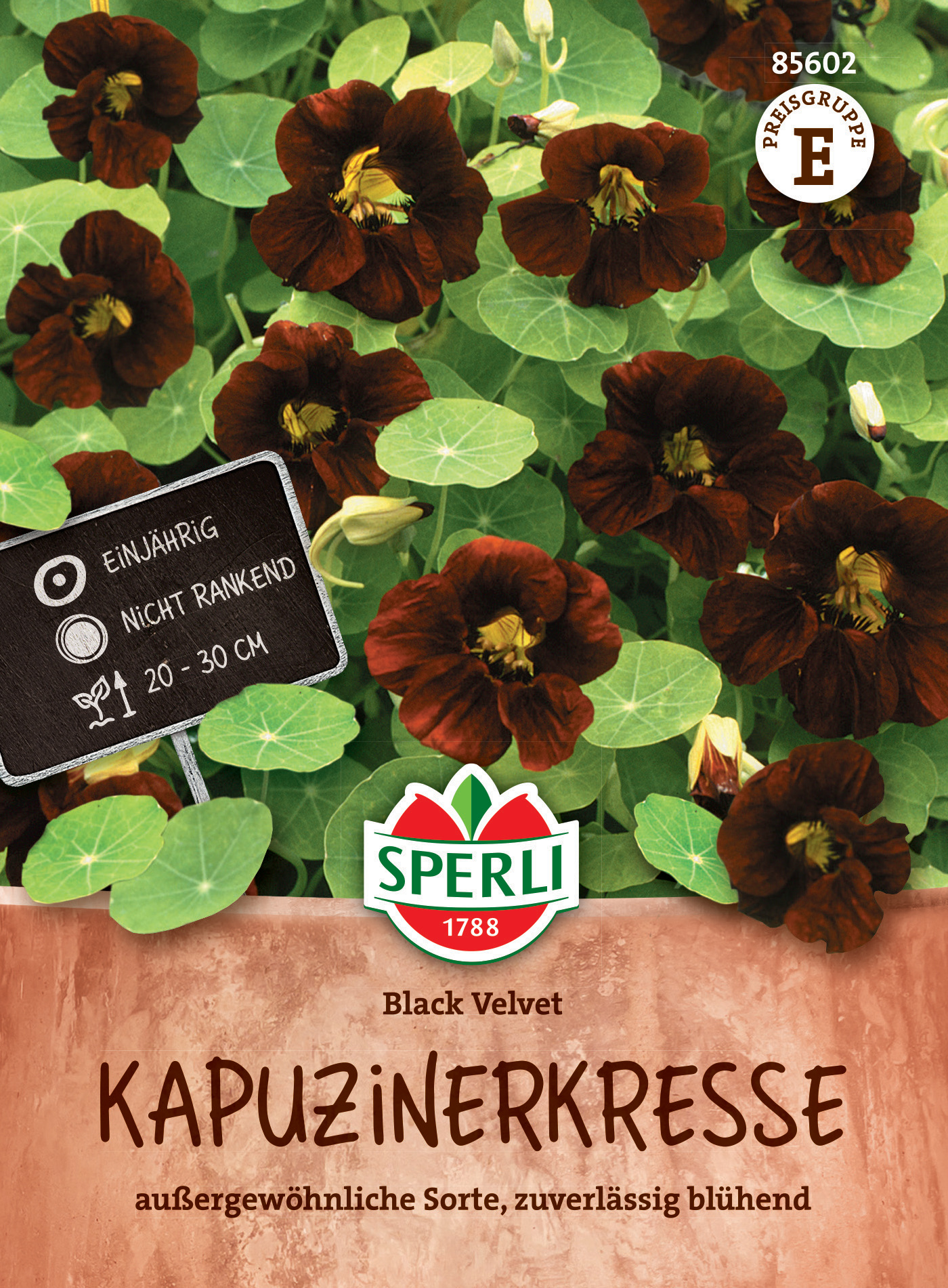 Kapuzinerkresse Black Velvet Kapuzinerkresse Black Velvet