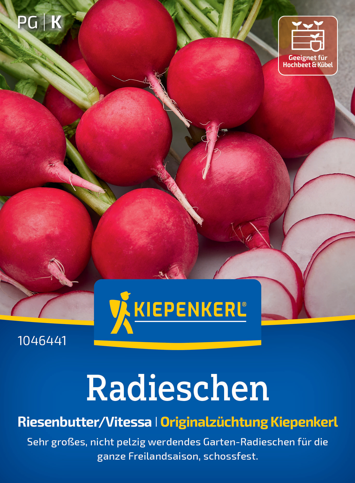 Radieschen Riesenbutter/Vitessa