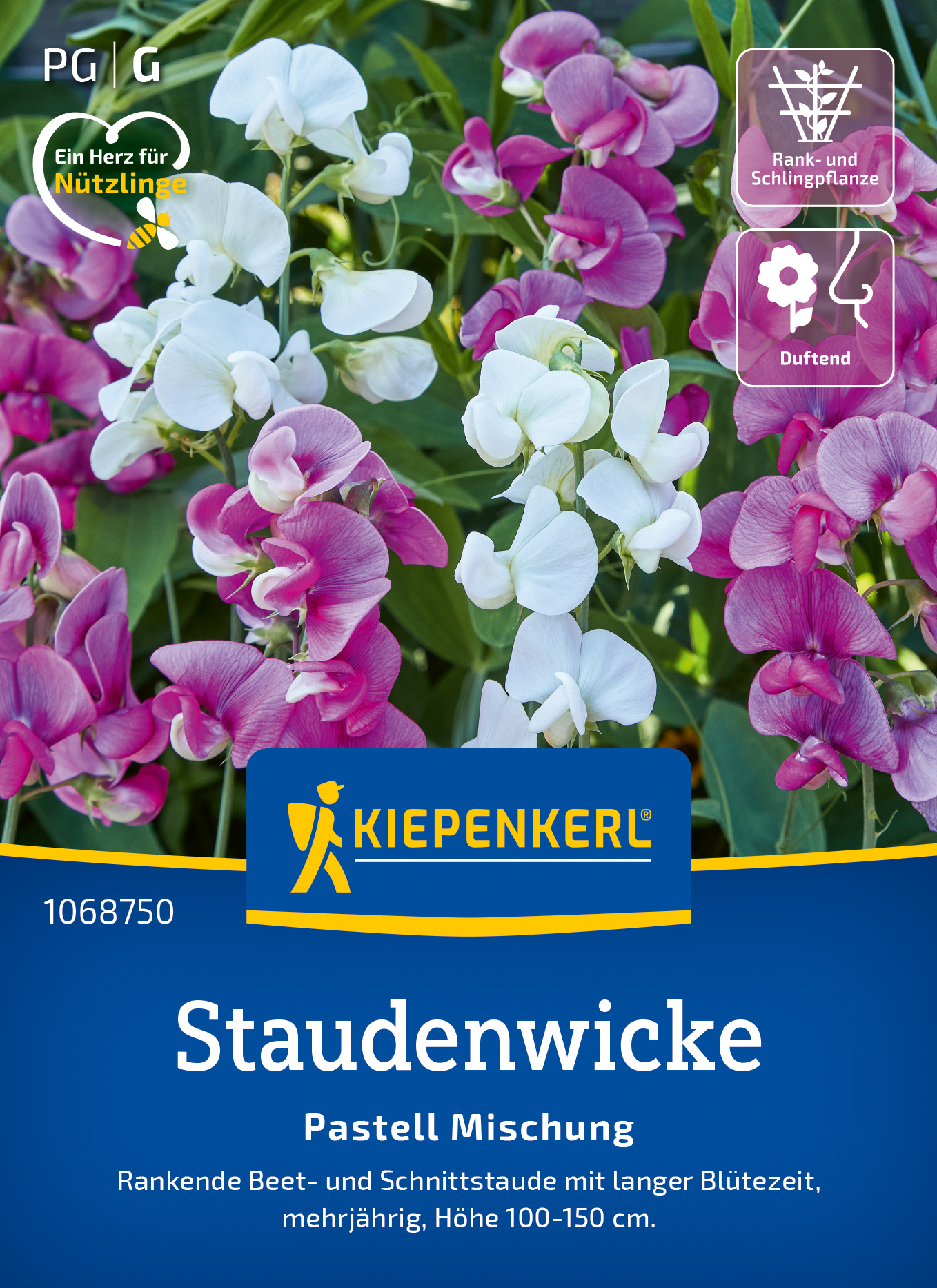 Staudenwicke Pastell Mischung