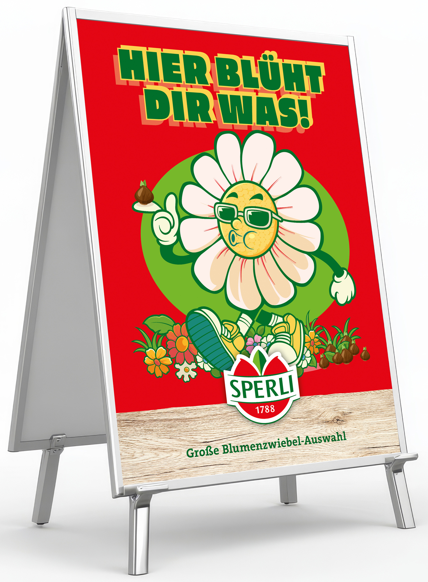 Sperli-Kom.-Konzept Frühjahr - Poster Dahlien-Blüte - DIN A1