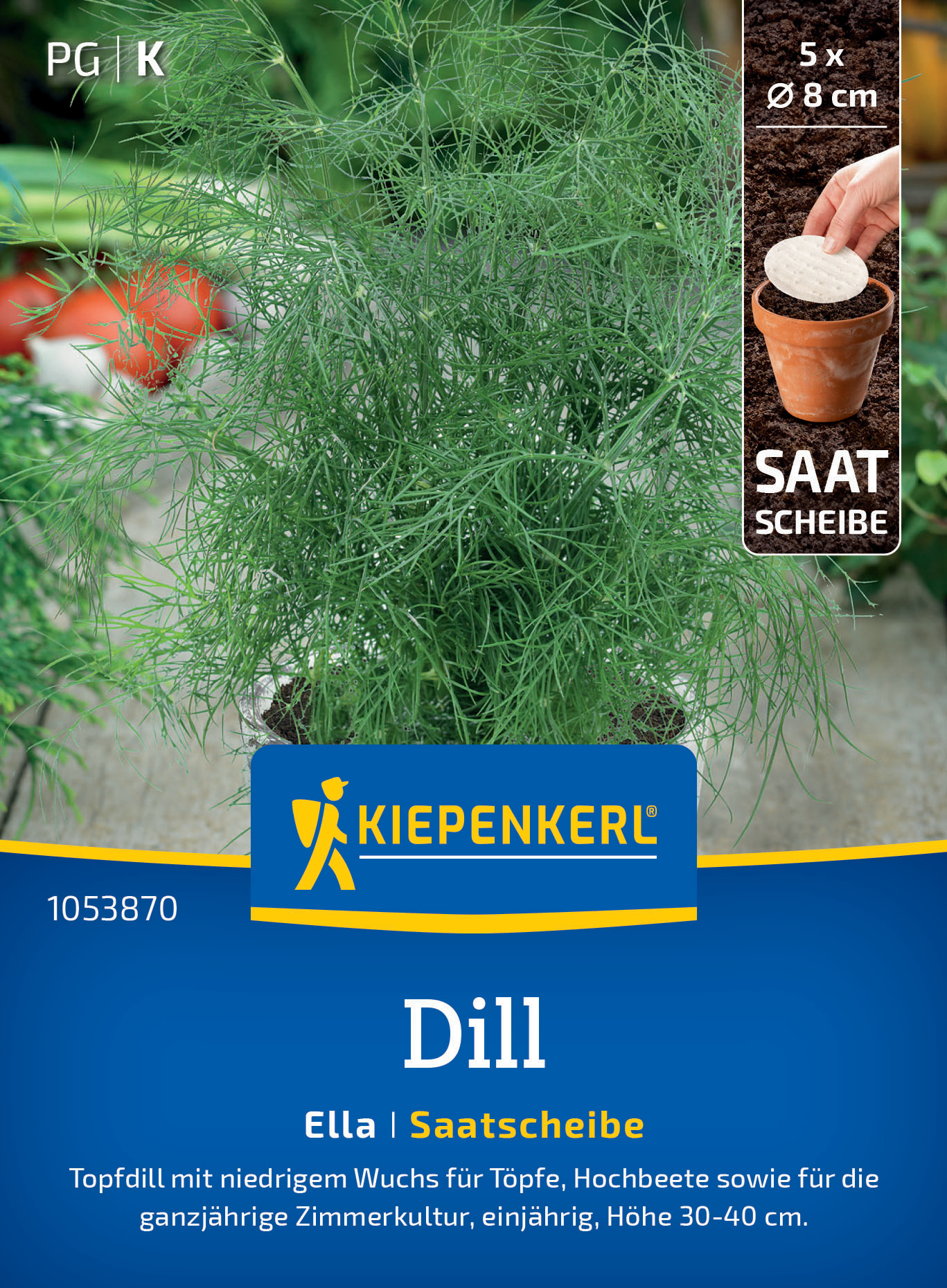 Dill Ella, Saatscheibe Dill Ella, Saatscheibe