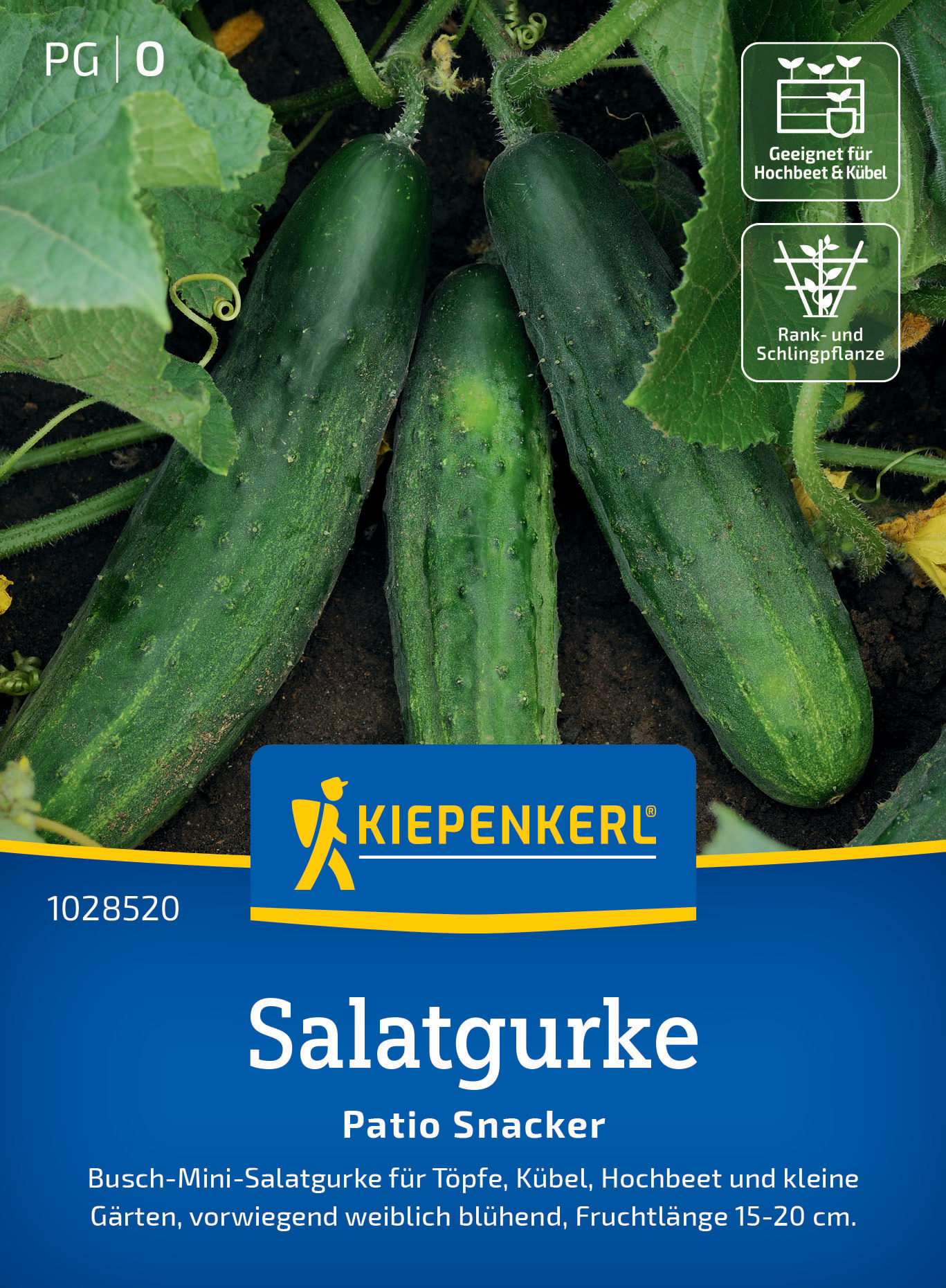 Salatgurke Patio Snacker, F1