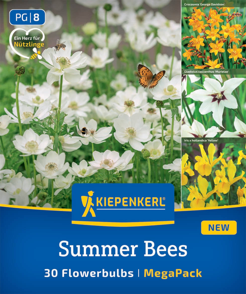 Summer Bees Summer Bees