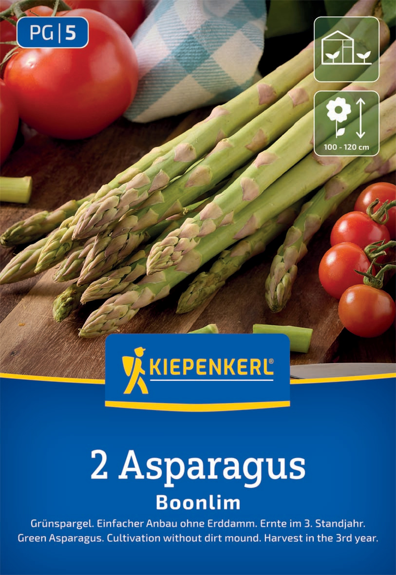 Grünspargel Boonlim Asparagus officinalis Grünspargel Boonlim Asparagus officinalis