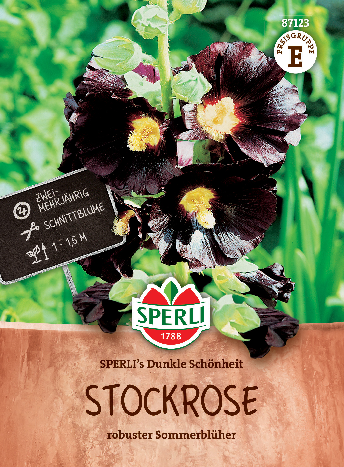 Stockrose SPERLI's Dunkle Schönheit Stockrose SPERLI's Dunkle Schönheit