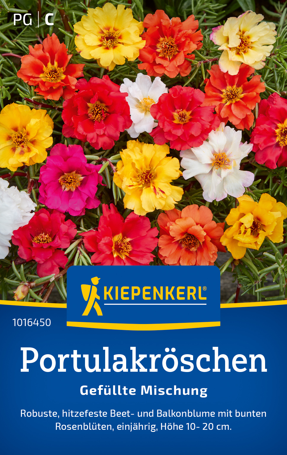 Portulakröschen Gefüllte Mischung Portulakröschen Gefüllte Mischung