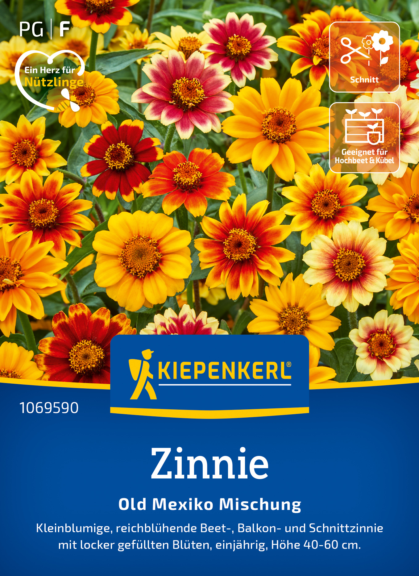 Zinnie Old Mexiko Mischung