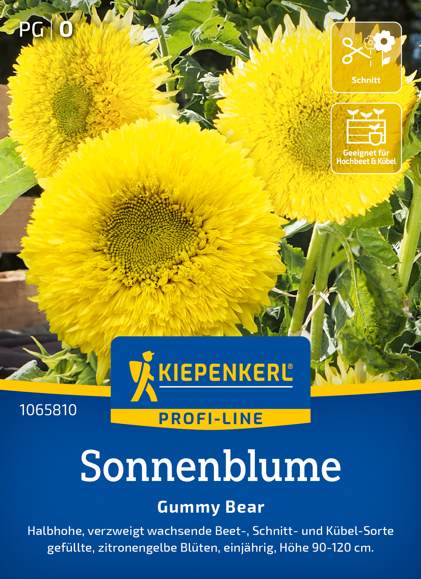 Sonnenblume Gummy Bear Sonnenblume Gummy Bear