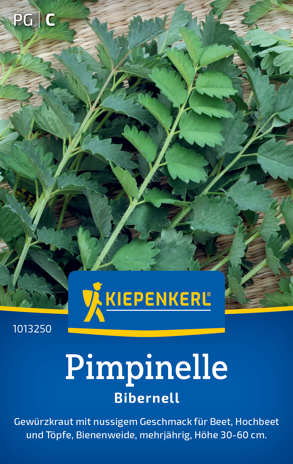 Pimpinelle Bibernell