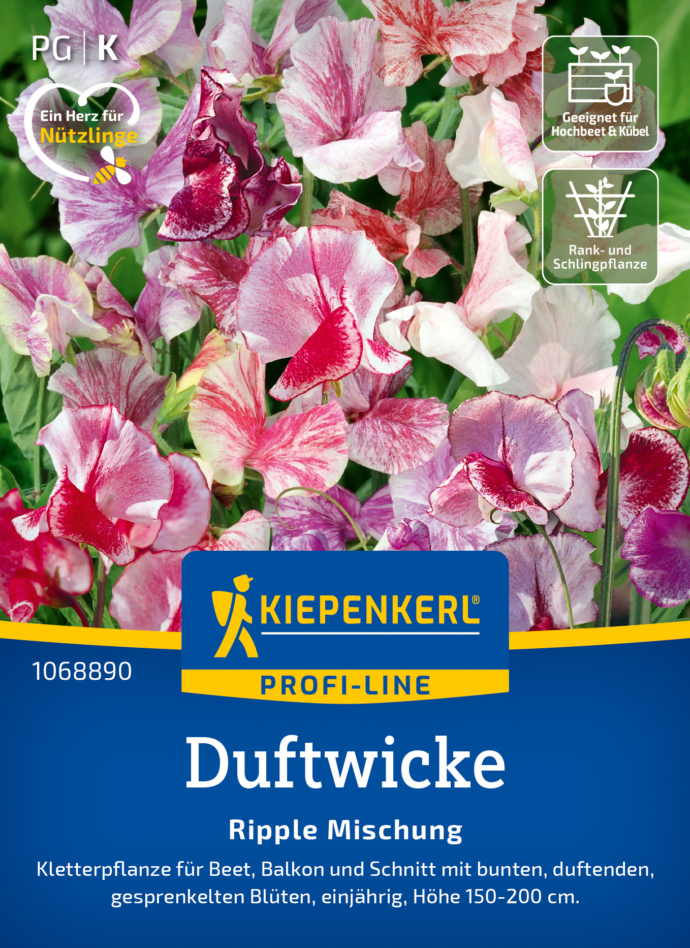 Duftwicke Ripple Mischung