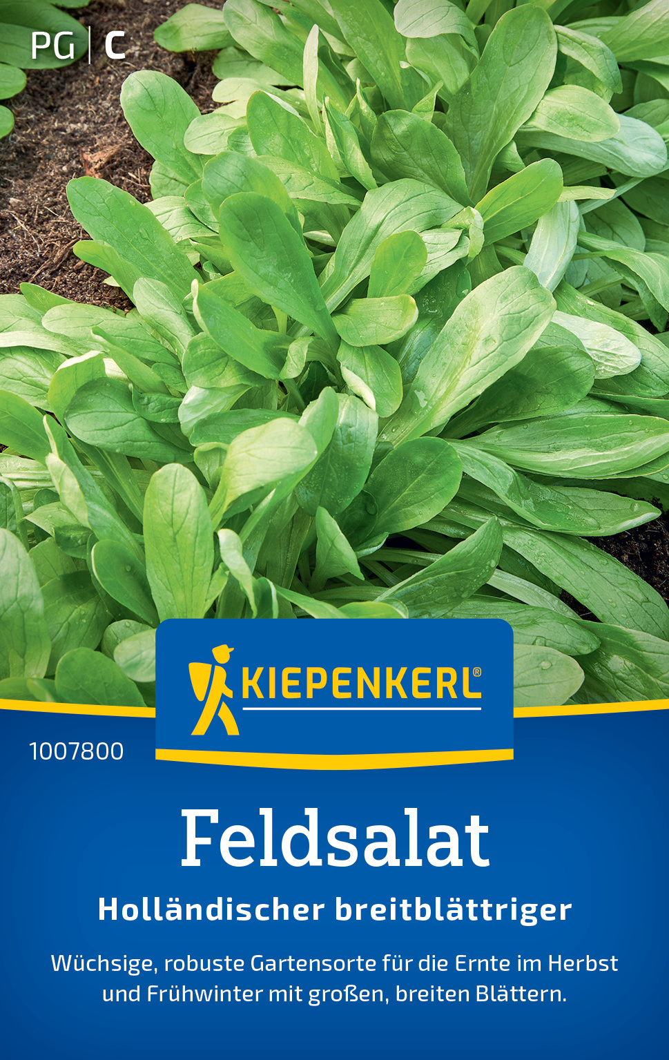 Feldsalat Holländischer breitblättriger