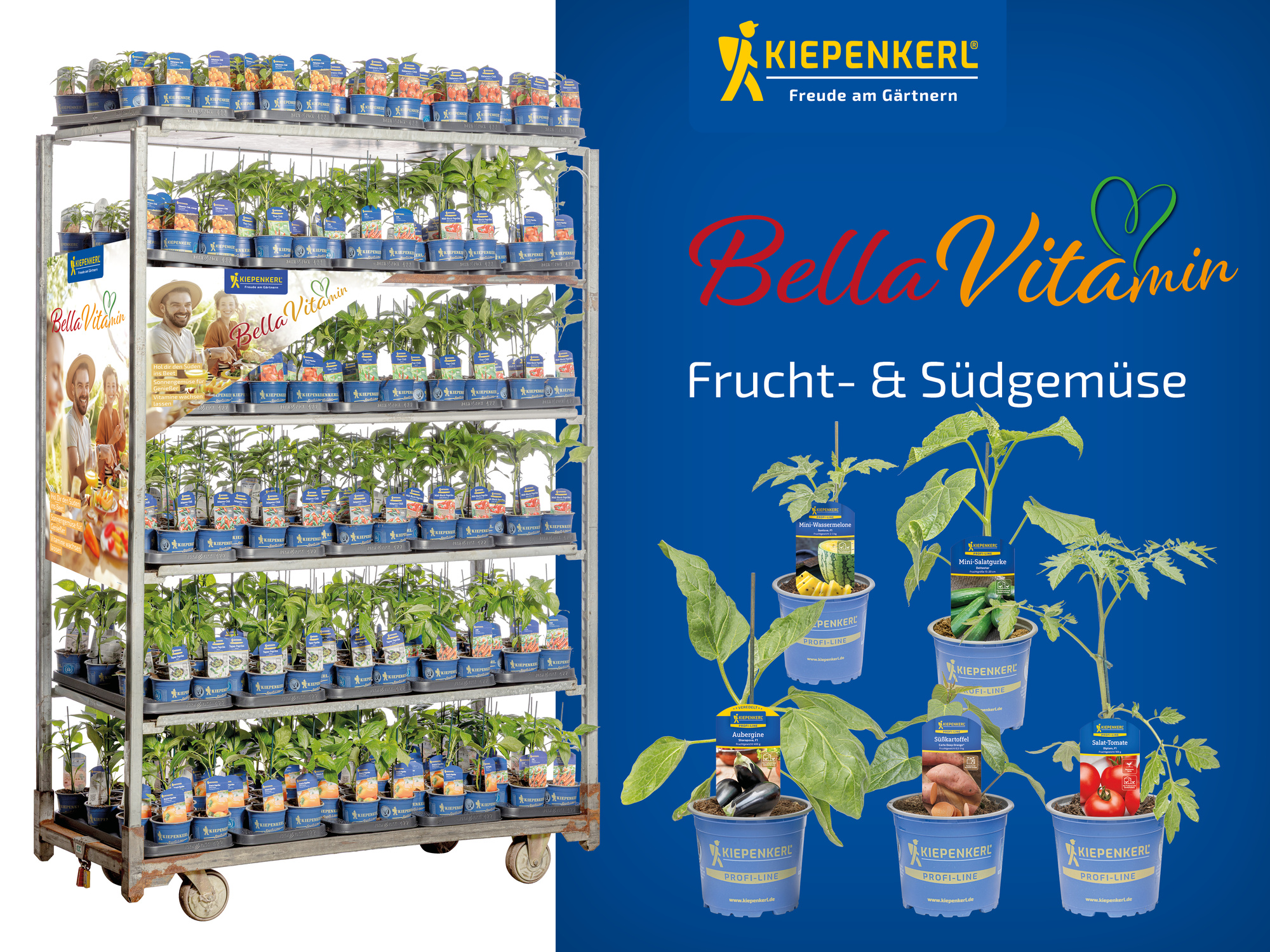 2026 - Frühjahr - ProfiLine Pflanzen - Bella Vitamin - Freiland-, Frucht- und Südgemüse