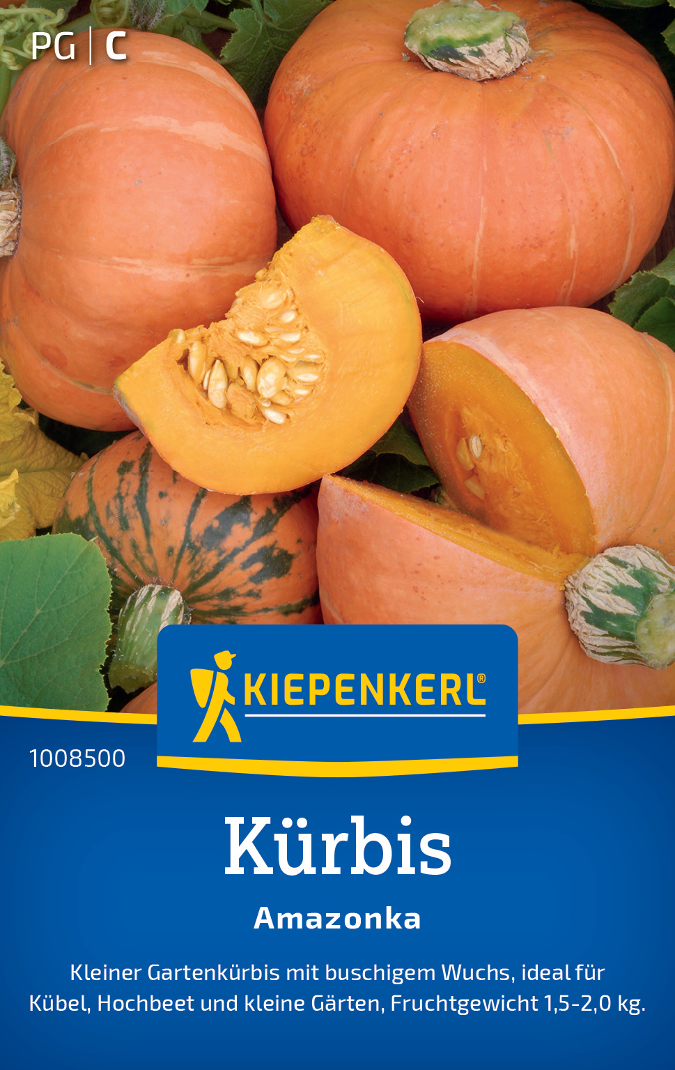 Kürbis Amazonka Kürbis Amazonka