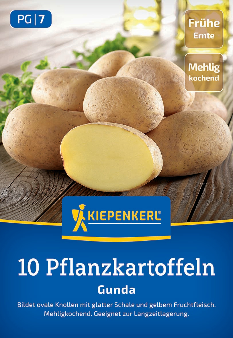 Pflanzkartoffel Gunda, 10 St Pflanzkartoffel Gunda, 10 St