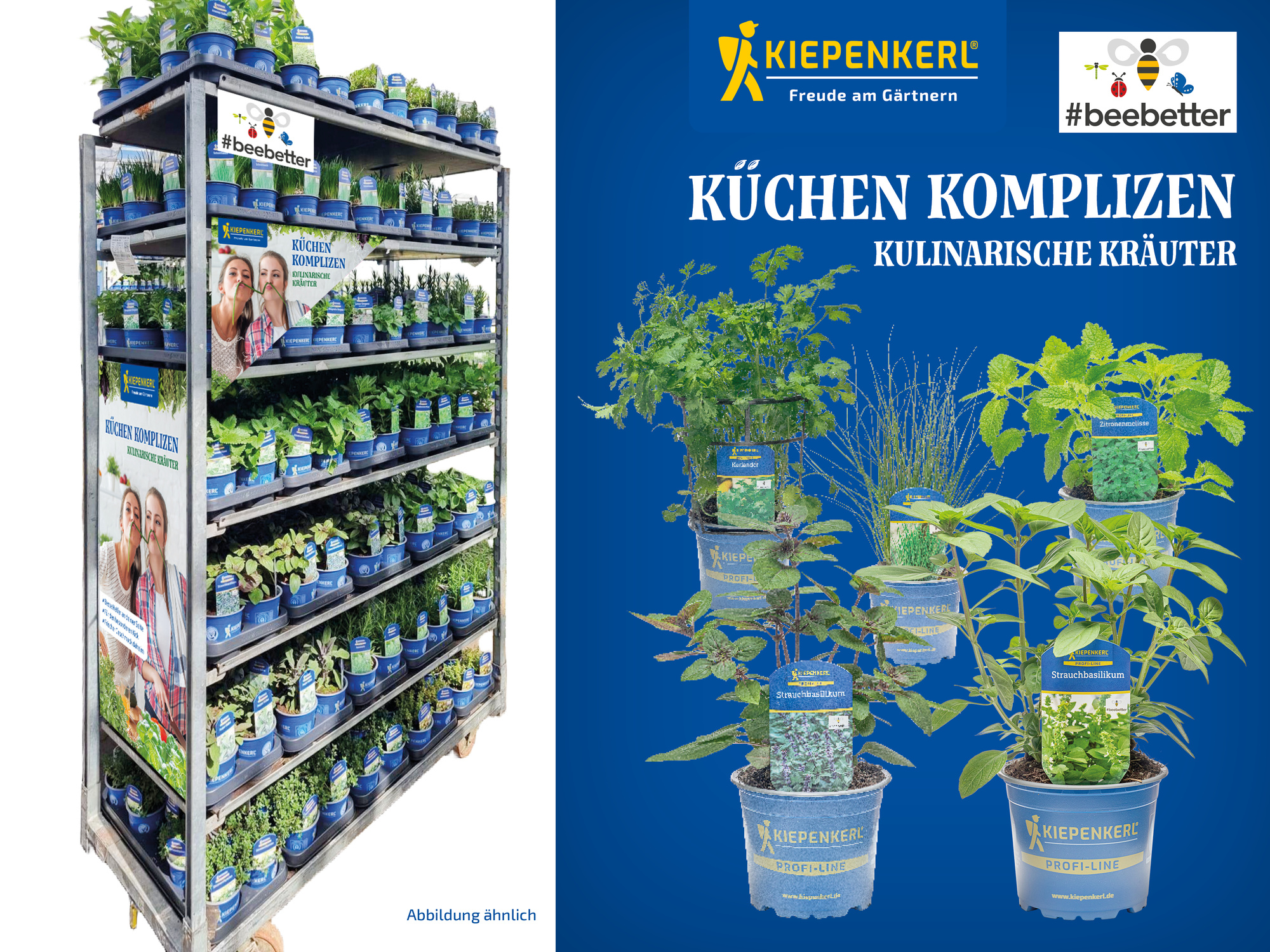 2026 - Frühjahr - ProfiLine Pflanzen - Küchen Komplizen - Gartenkräuter #beebetter