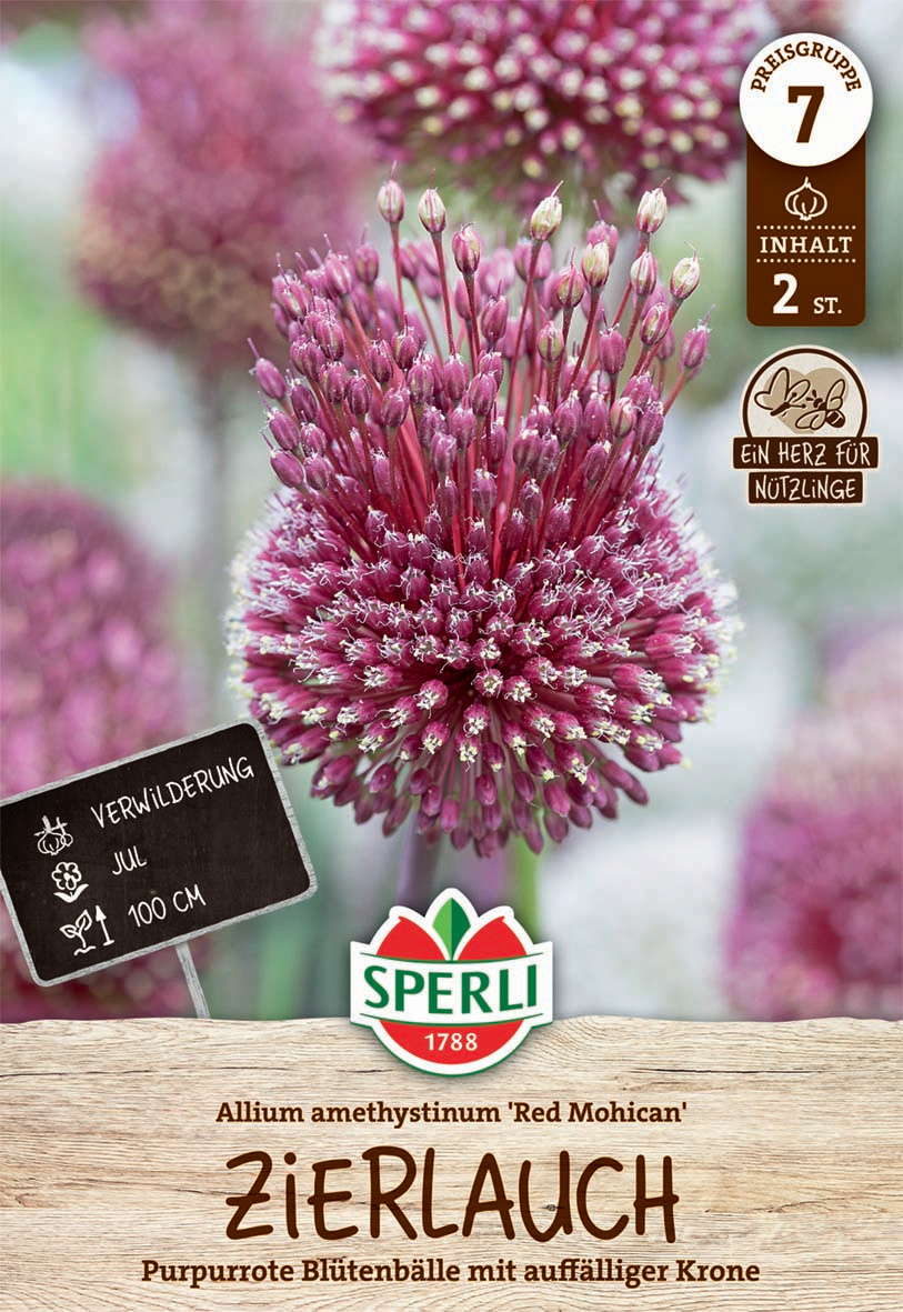 Zierlauch Red Mohican