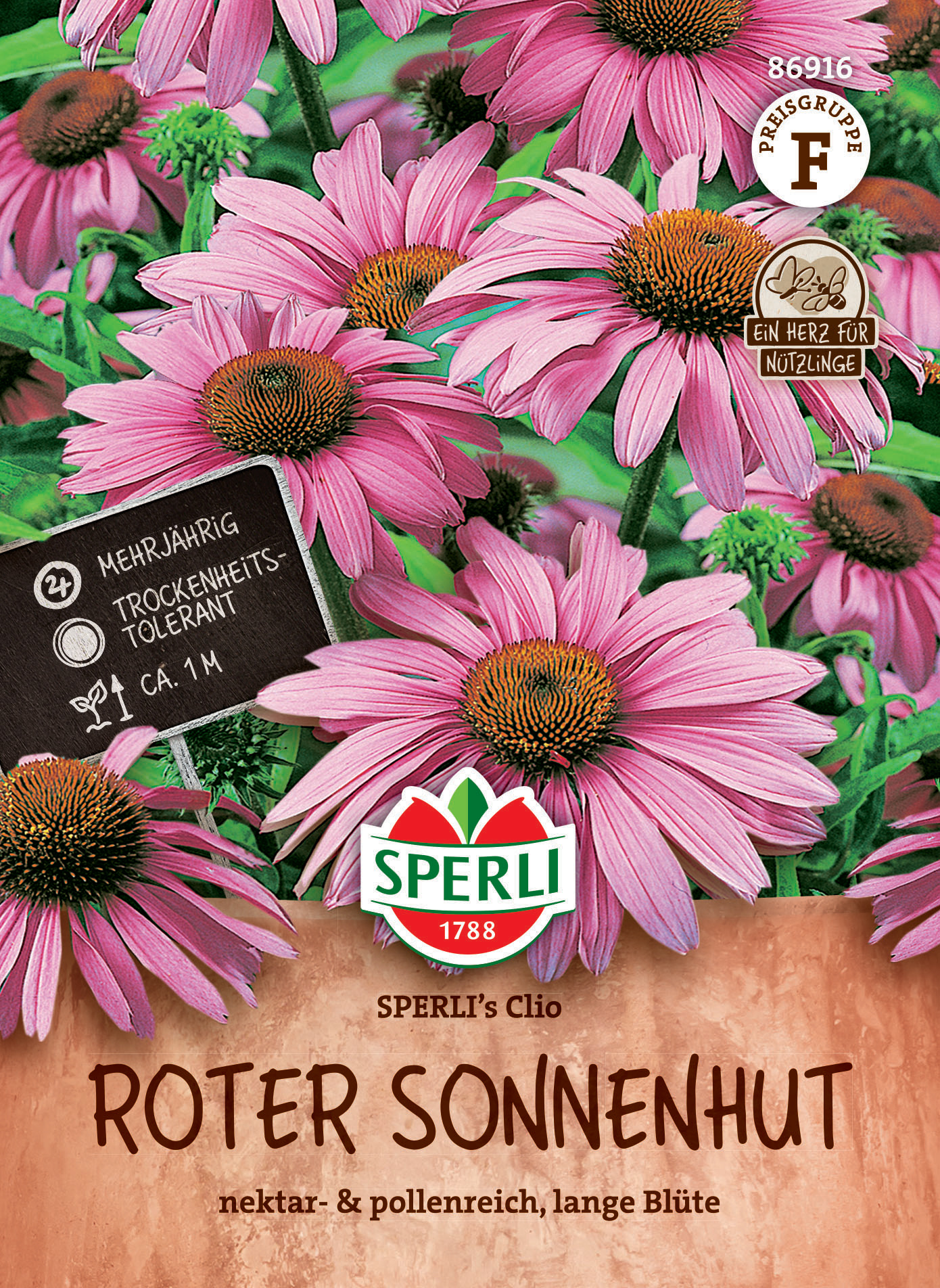 Roter Sonnenhut SPERLI's Clio Roter Sonnenhut SPERLI's Clio