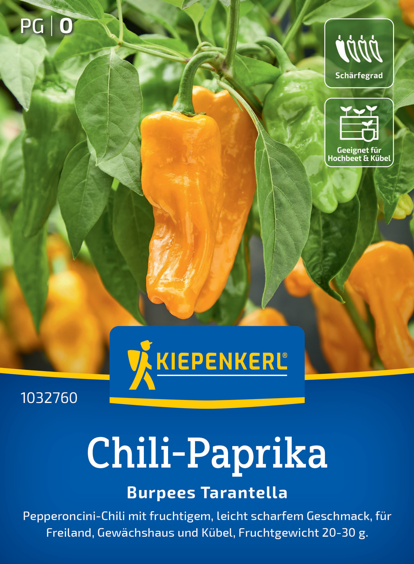 Chili-Paprika Burpees Tarantella Chili-Paprika Burpees Tarantella