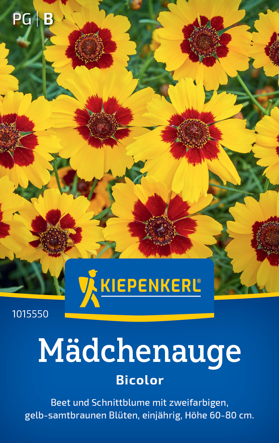 Mädchenauge Bicolor