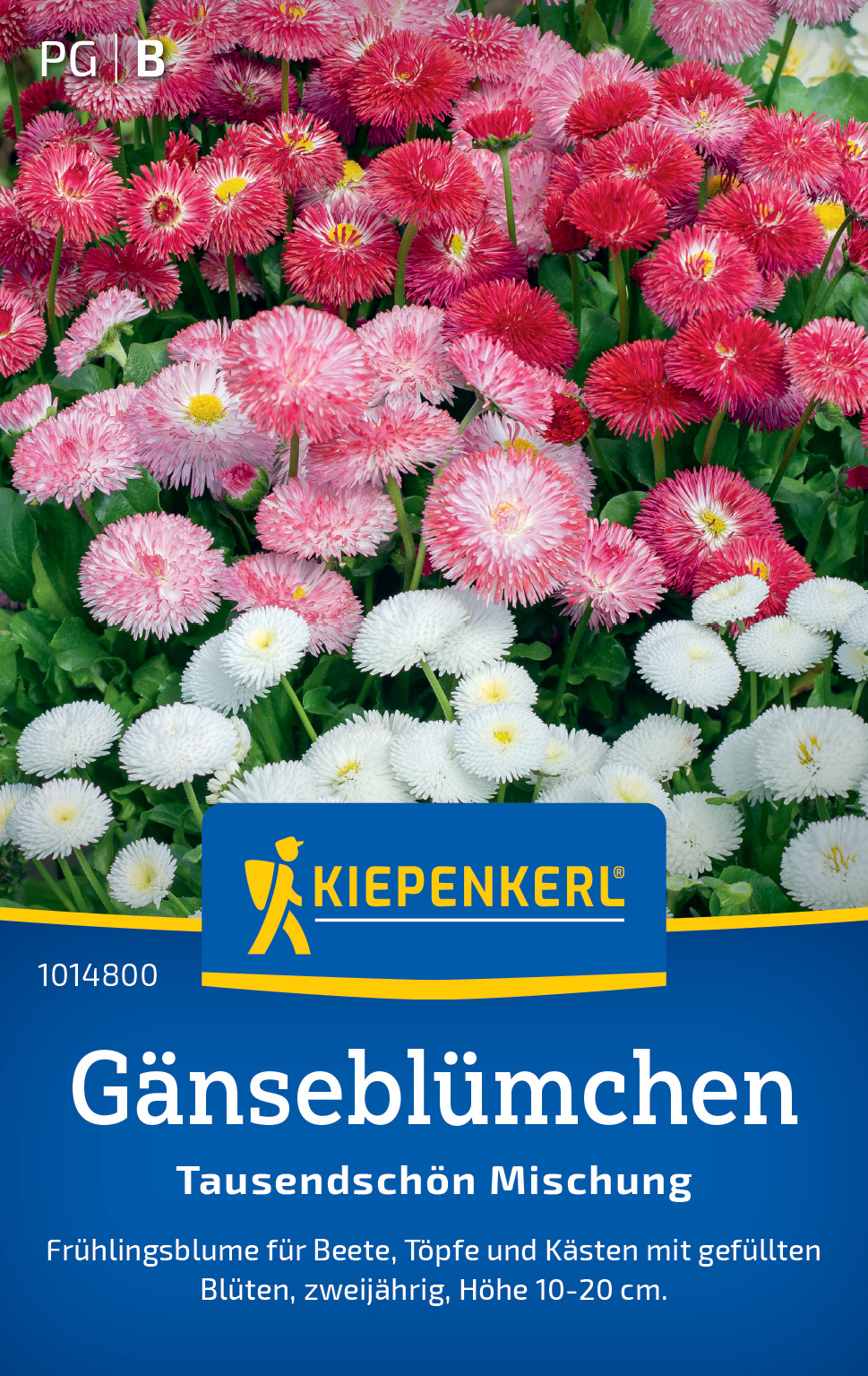 Gänseblümchen Tausendschön Mischung Gänseblümchen Tausendschön Mischung